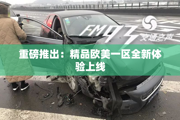 重磅推出：精品欧美一区全新体验上线