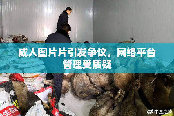 成人图片片引发争议，网络平台管理受质疑