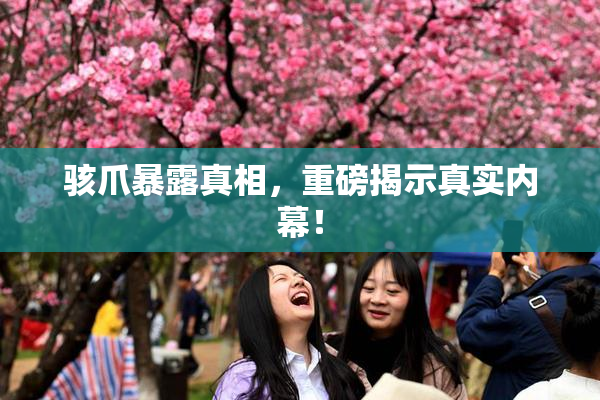 骇爪暴露真相，重磅揭示真实内幕！