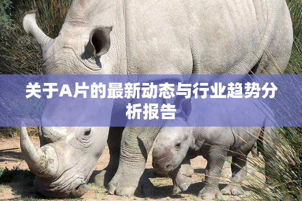 关于A片的最新动态与行业趋势分析报告