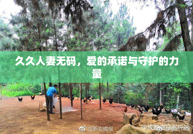 久久人妻无码，爱的承诺与守护的力量