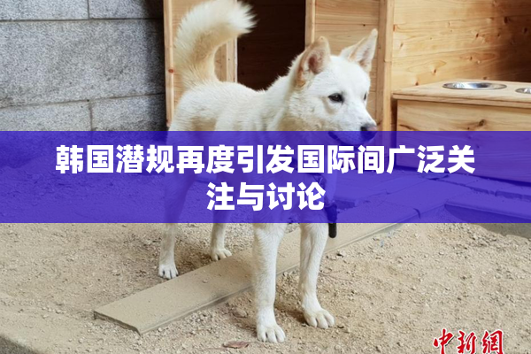 韩国潜规再度引发国际间广泛关注与讨论