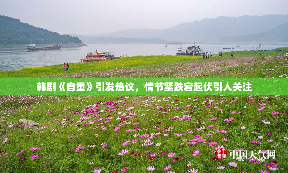 韩剧《自重》引发热议，情节紧跌宕起伏引人关注