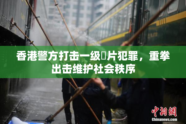 香港警方打击一级婬片犯罪，重拳出击维护社会秩序