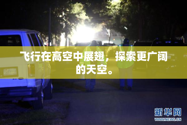 飞行在高空中展翅，探索更广阔的天空。