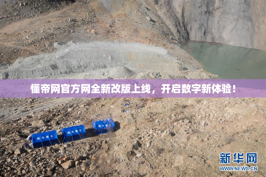 懂帝网官方网全新改版上线，开启数字新体验！