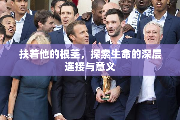扶着他的根茎，探索生命的深层连接与意义