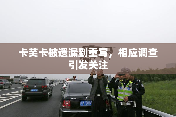卡芙卡被遗漏到重写，相应调查引发关注