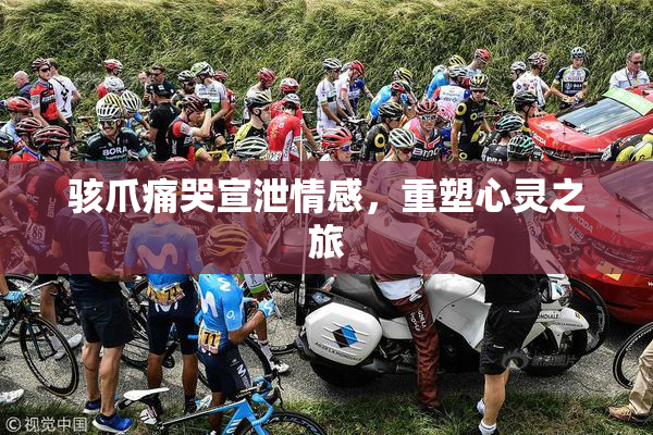 骇爪痛哭宣泄情感，重塑心灵之旅