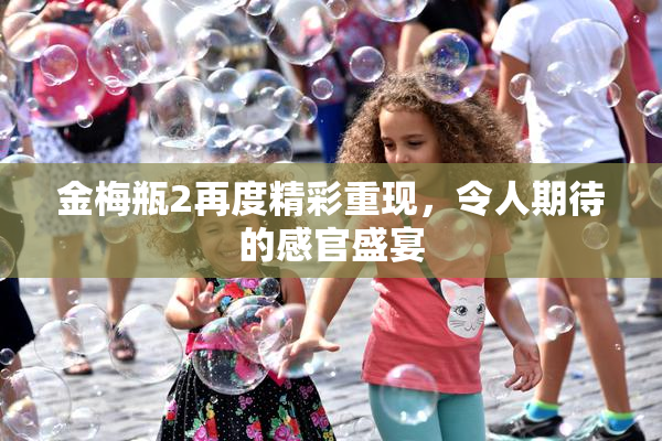 金梅瓶2再度精彩重现，令人期待的感官盛宴