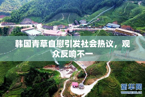 韩国青草自慰引发社会热议，观众反响不一