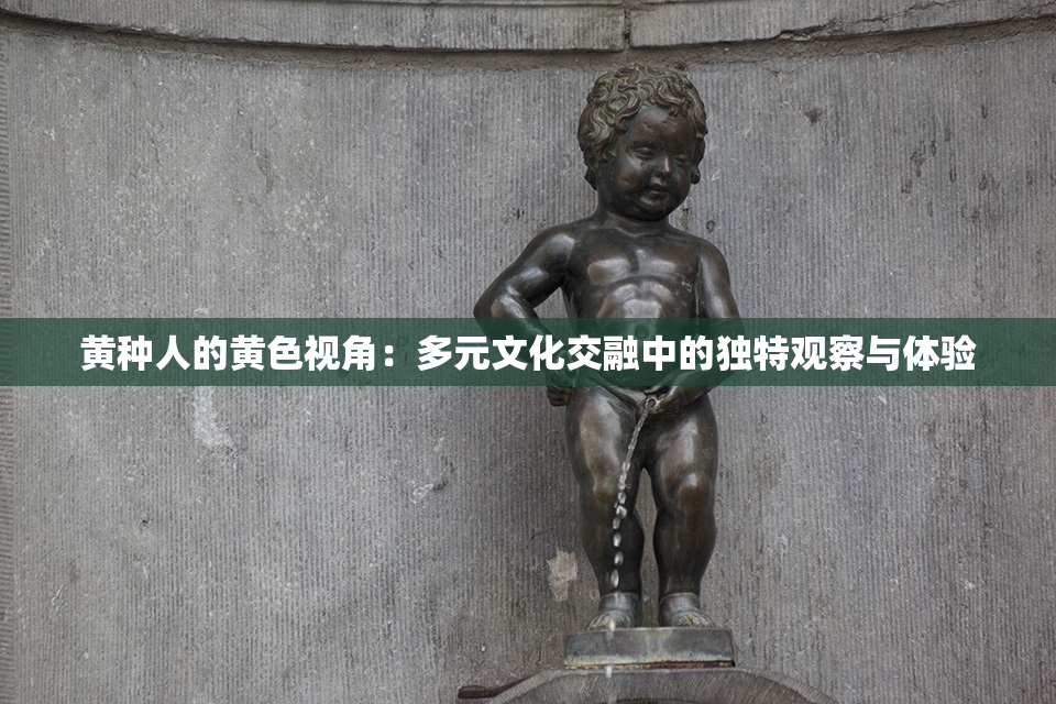 黄种人的黄色视角：多元文化交融中的独特观察与体验