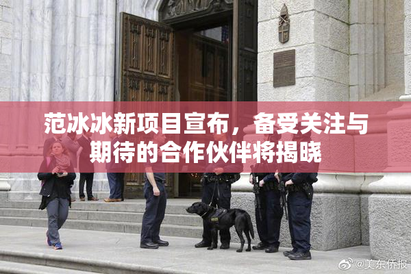 范冰冰新项目宣布，备受关注与期待的合作伙伴将揭晓