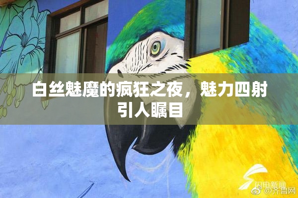 白丝魅魔的疯狂之夜，魅力四射引人瞩目