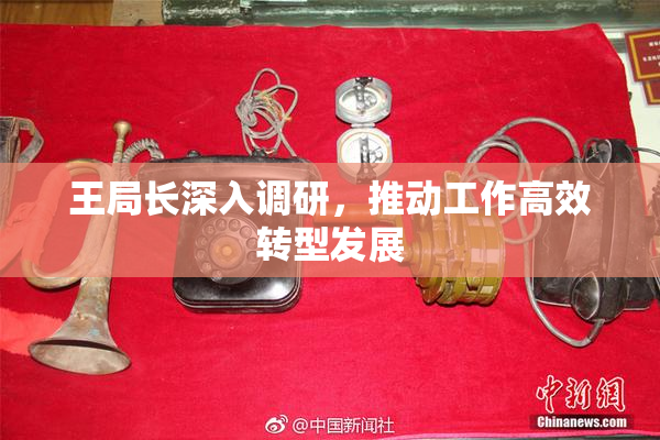 王局长深入调研，推动工作高效转型发展