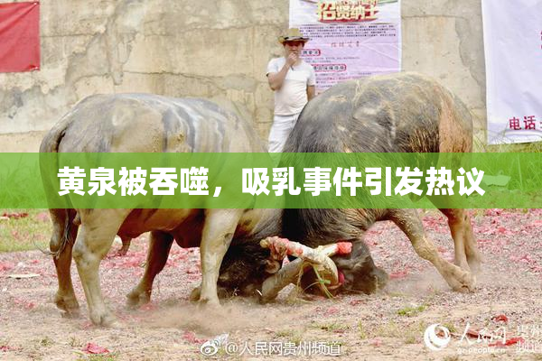 黄泉被吞噬，吸乳事件引发热议