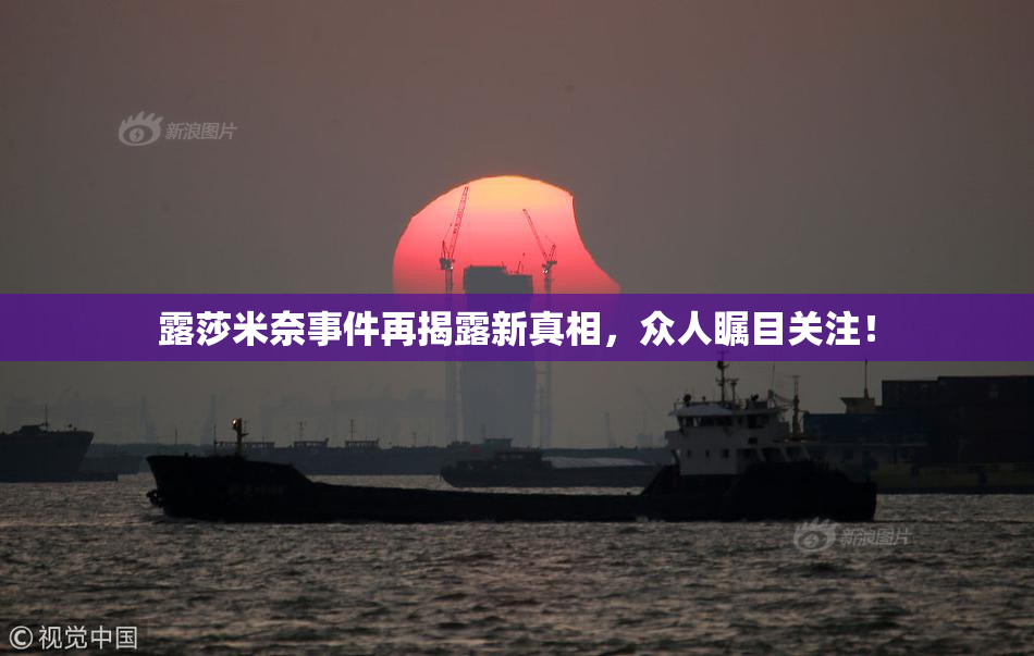 露莎米奈事件再揭露新真相，众人瞩目关注！