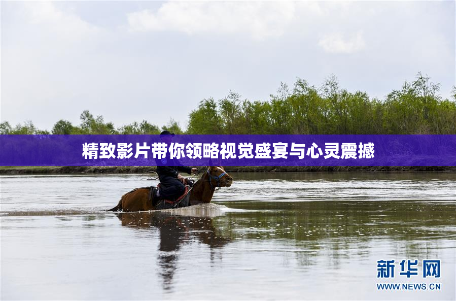 精致影片带你领略视觉盛宴与心灵震撼