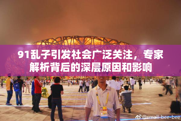 91乱子引发社会广泛关注，专家解析背后的深层原因和影响
