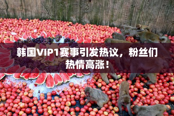 韩国VIP1赛事引发热议，粉丝们热情高涨！