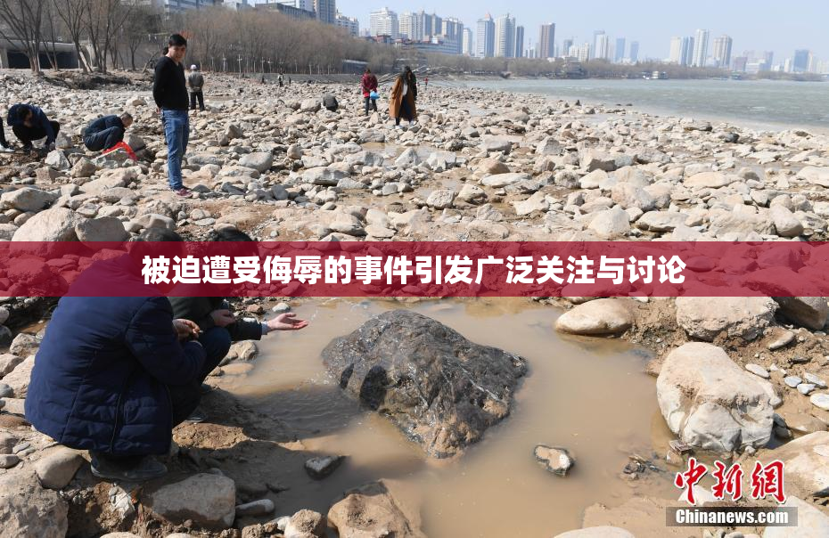 被迫遭受侮辱的事件引发广泛关注与讨论