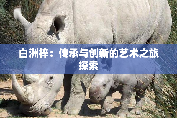 白洲梓：传承与创新的艺术之旅探索
