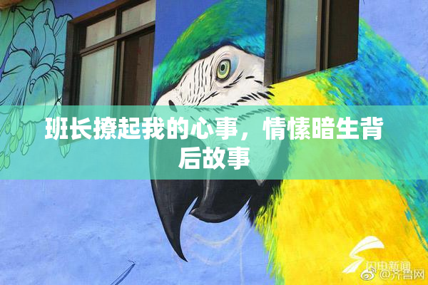 班长撩起我的心事，情愫暗生背后故事