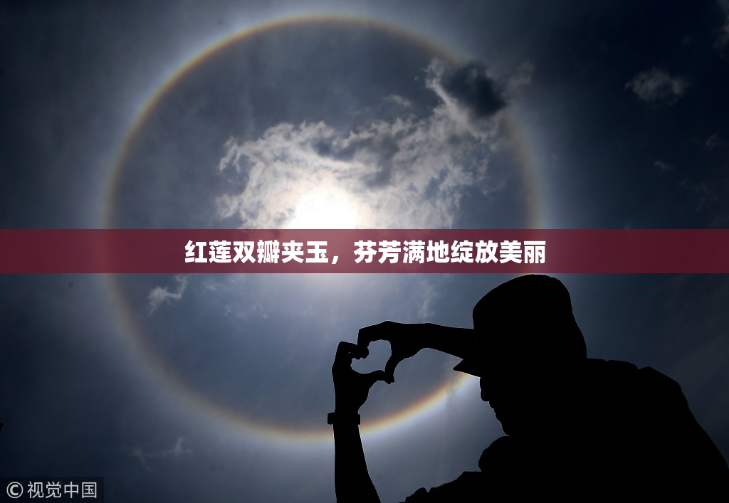 红莲双瓣夹玉，芬芳满地绽放美丽