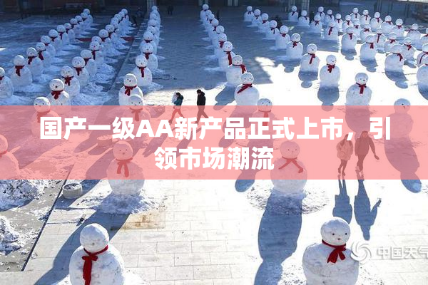 国产一级AA新产品正式上市，引领市场潮流