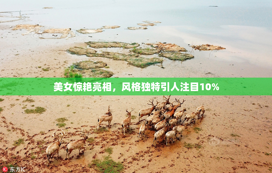 美女惊艳亮相，风格独特引人注目10%
