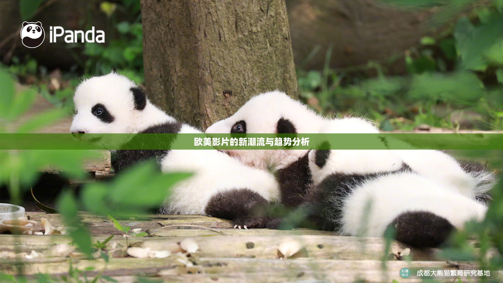 欧美影片的新潮流与趋势分析
