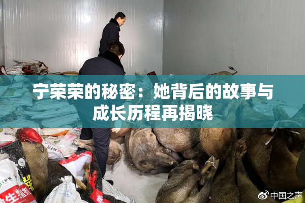 宁荣荣的秘密：她背后的故事与成长历程再揭晓