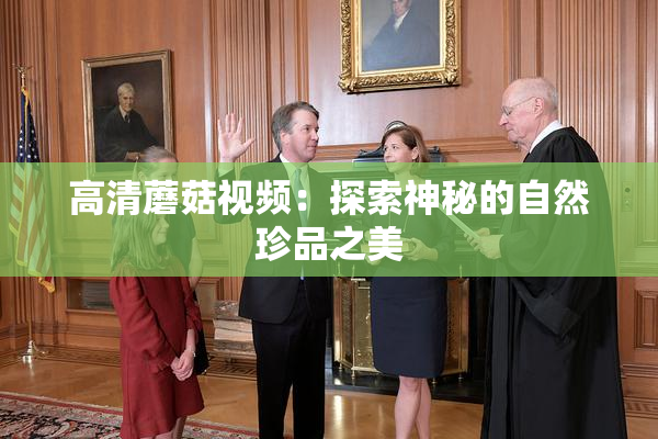 高清蘑菇视频：探索神秘的自然珍品之美