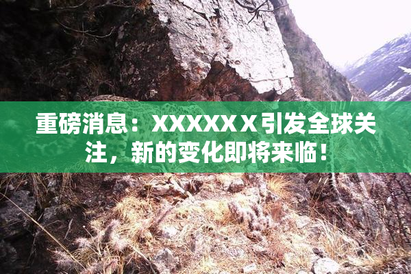 重磅消息：XXXXXⅩ引发全球关注，新的变化即将来临！