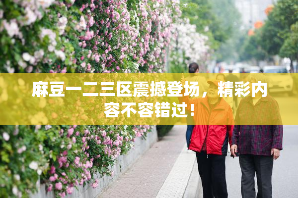 麻豆一二三区震撼登场，精彩内容不容错过！