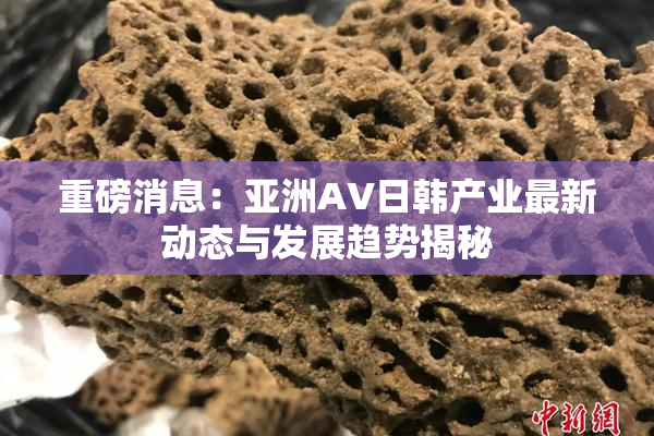 重磅消息：亚洲AV日韩产业最新动态与发展趋势揭秘