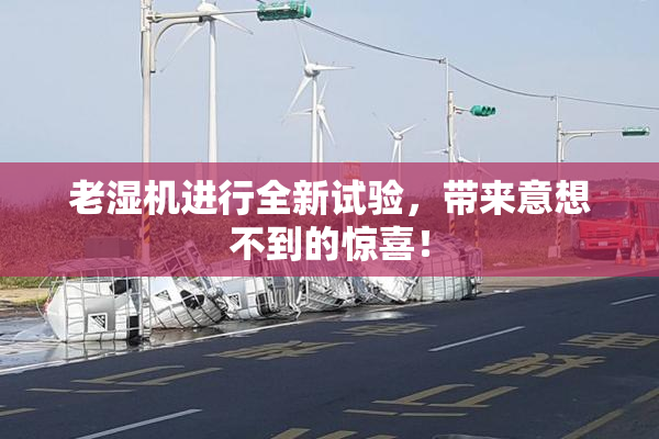老湿机进行全新试验，带来意想不到的惊喜！