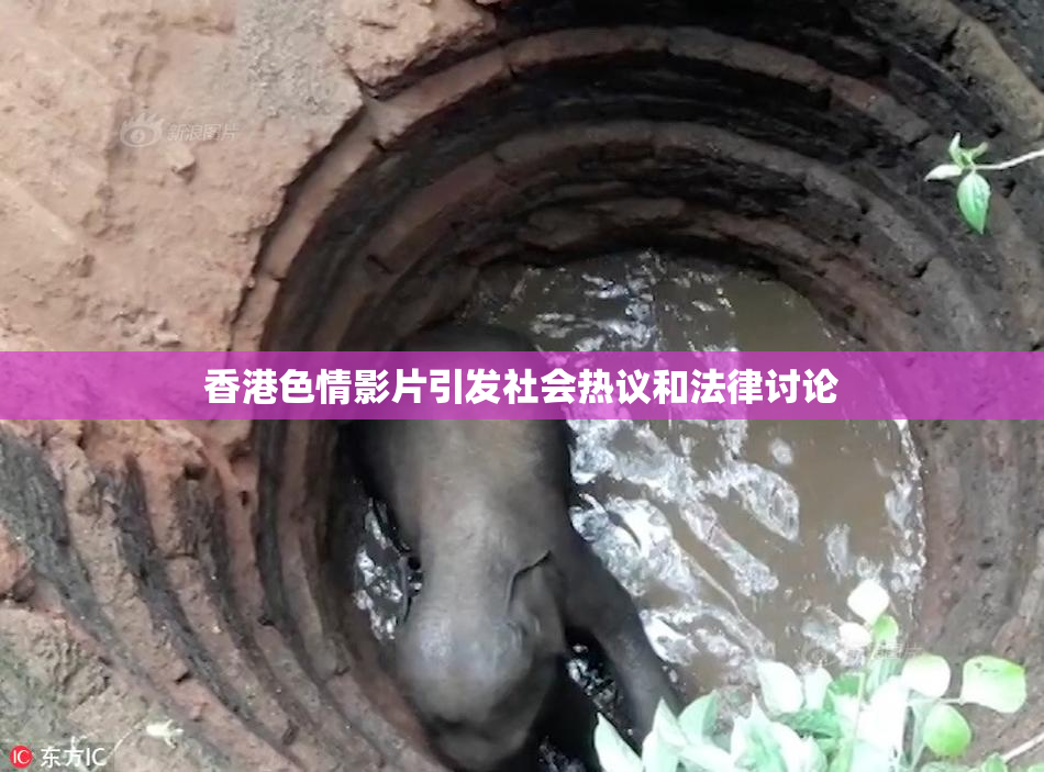 香港色情影片引发社会热议和法律讨论