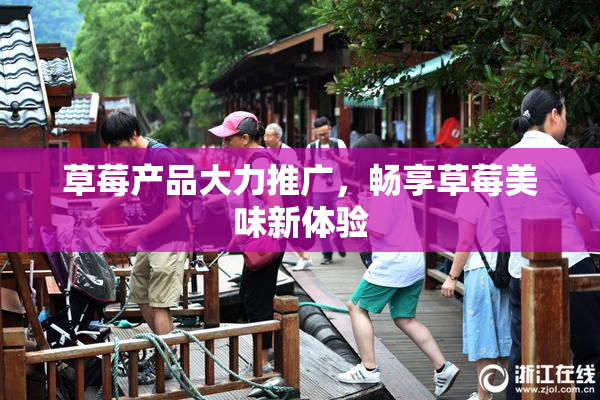 草莓产品大力推广，畅享草莓美味新体验
