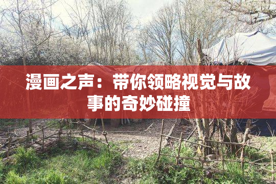 漫画之声：带你领略视觉与故事的奇妙碰撞