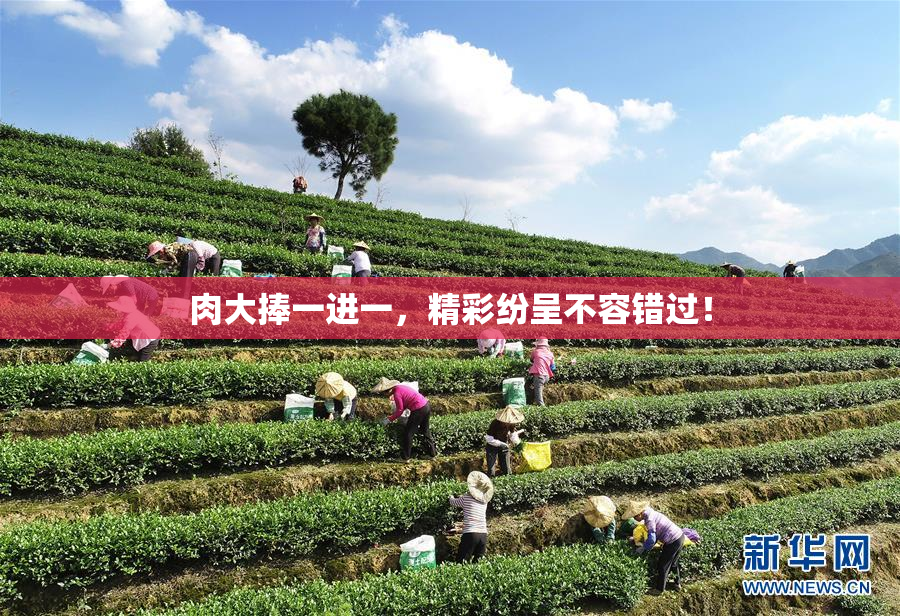 肉大捧一进一，精彩纷呈不容错过！