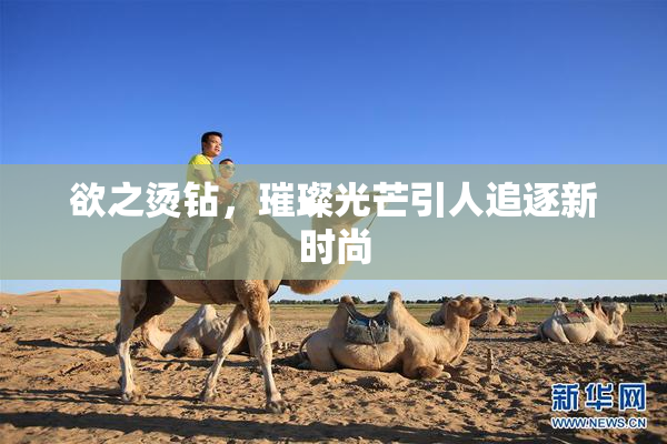 欲之烫钻，璀璨光芒引人追逐新时尚