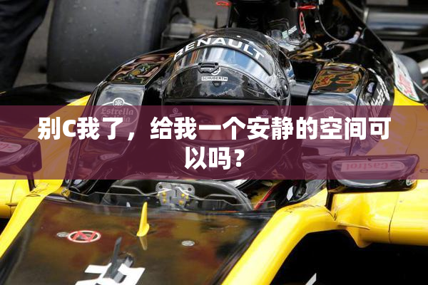 别C我了，给我一个安静的空间可以吗？