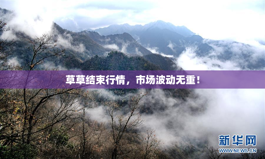 草草结束行情，市场波动无重！