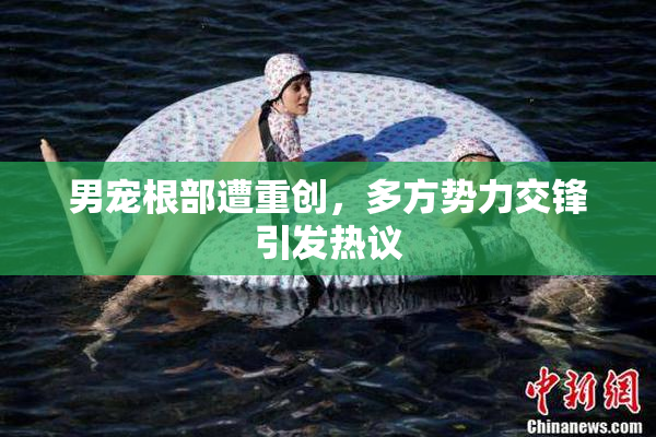 男宠根部遭重创，多方势力交锋引发热议