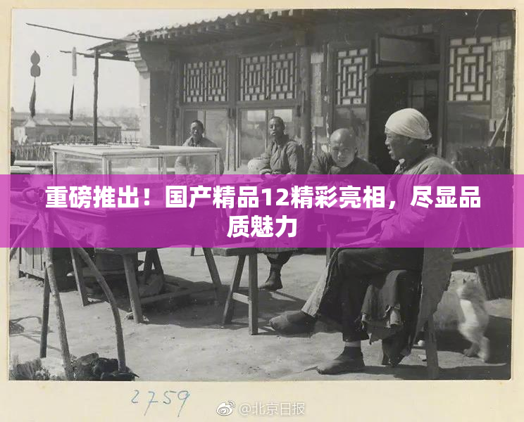 重磅推出！国产精品12精彩亮相，尽显品质魅力
