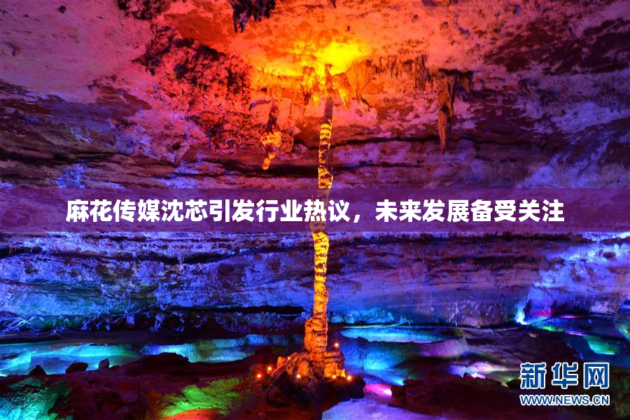 麻花传媒沈芯引发行业热议，未来发展备受关注