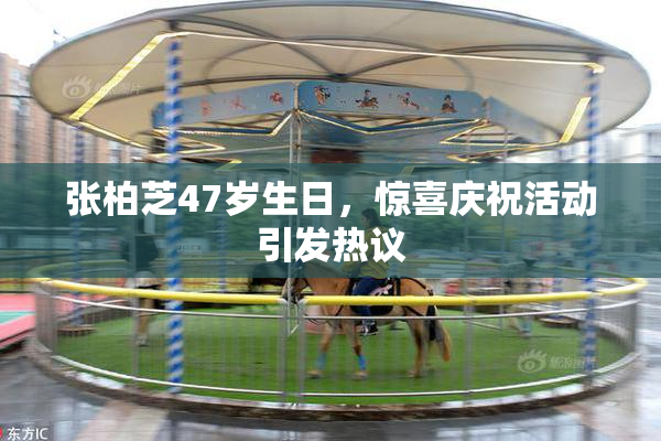 张柏芝47岁生日，惊喜庆祝活动引发热议