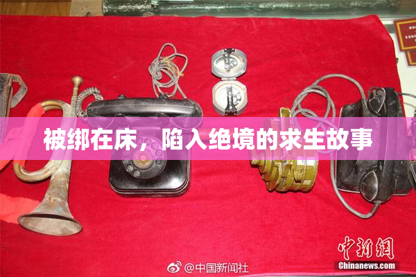 被绑在床，陷入绝境的求生故事