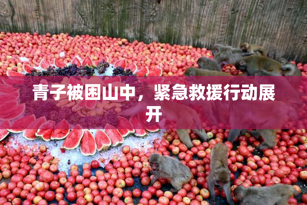 青子被困山中，紧急救援行动展开